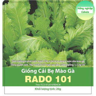 Hạt Giống Cải Bẹ Mào Gà 10gr