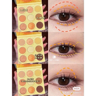 Bảng Phấn Mắt Colourpop Wanna Bee