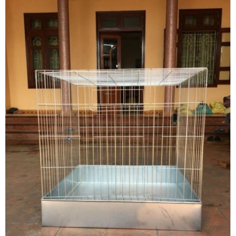 lồng gà chọi gà đá không khay