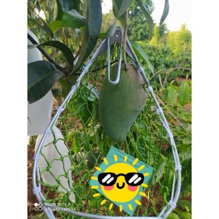 VỢT HÁI TRÁI CÂY CÓ LƯỠI CẮT CUỐN TRÁI GIÚP HÁI BƠ, XOÀI, BƯỞI, GIẤC..CÁC LOẠI TRÁI CÂY