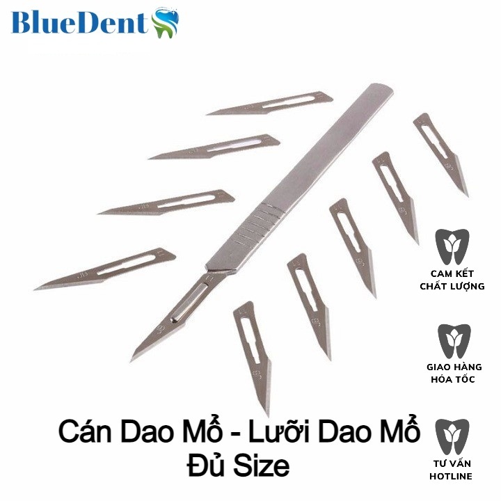 Cán Dao Số 3 - Lưỡi Dao  Số 10, Số 11