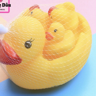 Vịt thả bồn (1mẹ 3con)