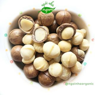 [Nông Sản Việt] Hạt Macca Đaklak sấy chín ăn ngay