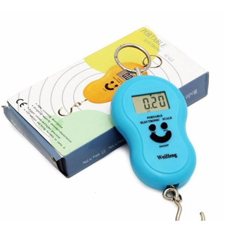 Cân điện tử mini cầm tay