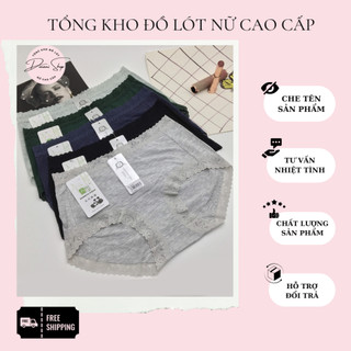 Quần Lót Cotton Viền Ren Fom To,Cạp Cao, Siêu Nhẹ,Mềm Mại Co Gĩan 4 Chiều| Quần Chip Không Đường Viền, Không Hằn Cao Cấp