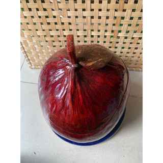 bình ủ trà bằng vỏ trái dừa 800 ml
