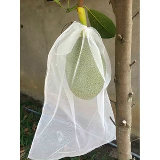 10 Cái Túi Bao,Bọc Mít Thái ,Bọc Chùm Trái Cây...vvv Kích Thước Túi 50*70cm