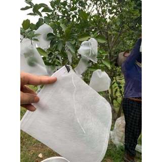 20*25cm 100 CÁI TÚI BAO , BỌC CAM,LÊ,NA THÁI,BƠ,..TÚI BAO,BỌC TRÁI CÂY Túi Vải.