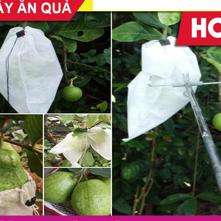 100 Túi Bọc Trái Cây Loại Nhỏ Có Dây Rút ( Túi bọc ổi, bơ, táo, xoài, na..)
