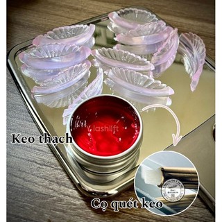 Cọ Quét Keo Thạch / Keo Sáp