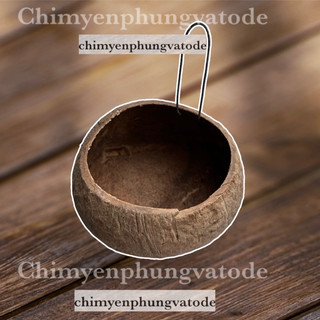 Gáo dừa khô đựng thức ăn nước uống cho gà đá, chim trĩ (gáo thường)