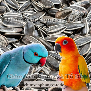 2kg hạt hướng dương lớn giàu dinh dưỡng cho Vẹt, Sóc, Hamster..