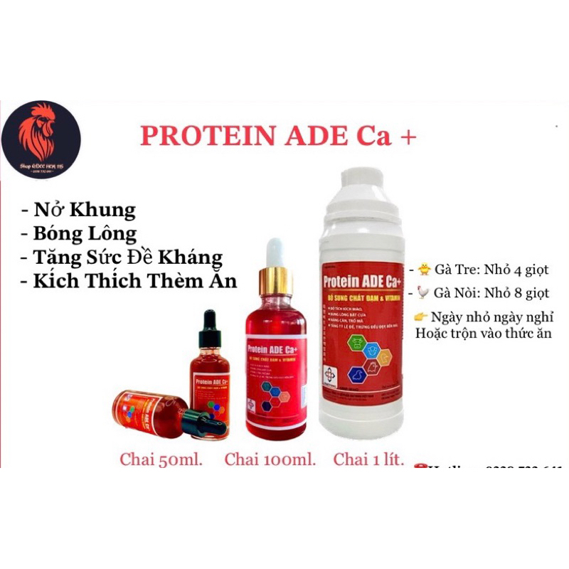 _•𝐏𝐑𝐎𝐓𝐄𝐈𝐍 𝐀𝐃𝐄 𝐂𝐚+ /𝟓𝟎𝐦𝐥-𝟏𝟎𝟎𝐦𝐥. Nuôi gà tơ, nở khung, lên cân, bóng lông