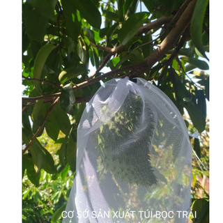 100 cái 35*40 Bao Bọc Các Loại Trái Cây MÃNG CẦU XIÊM,MÃNG CẦU GAI KÍCH THƯỚC 35*40