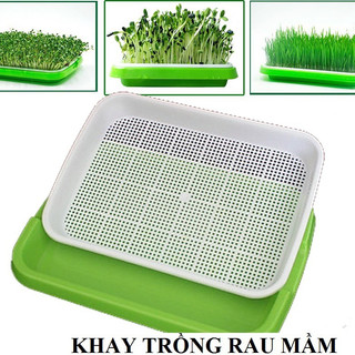 BỘ 10 KHAY NHỰA TRỒNG RAU MẦM THỦY CANH , GIÁ ĐỖ