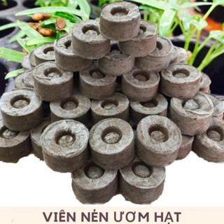 BỘ 100 VIÊN NÉN ƯƠM HẠT XƠ DƯA - KÍCH THÍCH NẢY MẦM