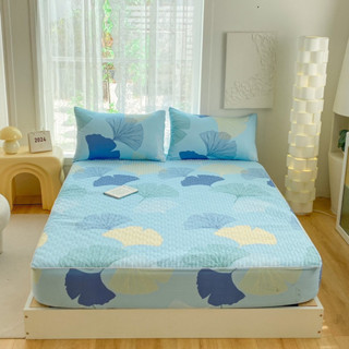 Ga gối chun trần cotton organic 3 món, chất cotton mềm mát dùng 4 mùa