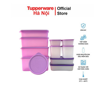 Bộ hộ trữ đông 6 hộp và trữ mát 5 hộp Tupperware màu tím indonesia nhựa nguyên sinh an toàn