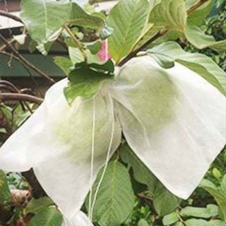 100 cái 18*20cm TÚI VẢI TỐT BỌC TRÁI ỔI, NA, VÚ SỮA, CAM,...- CỬA HÀNG TÚI BỌC