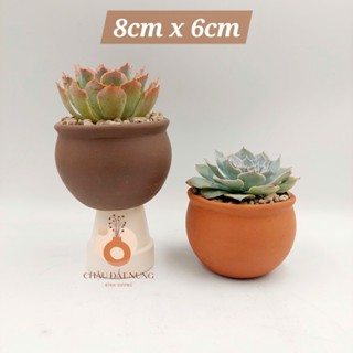 Chậu đất nung, chậu sen đá - Bắp cải 86 new, miệng chậu 8cm, chiều cao 6cm