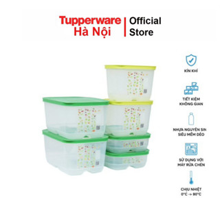 Bộ hộp trữ mát có nút hô hấp Ventsmart 4 hộp Tupperware trữ rau củ quả tươi lâu nhựa nguyên sinh