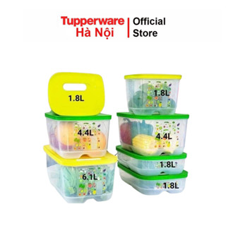 Hộp bảo quản rau củ quả ngăn mát có nút hô hấp Ventsmart Tupperware trữ tươi rau củ tới 21 ngày