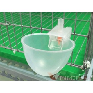 1 bộ cốc nước tự động cho bồ câu