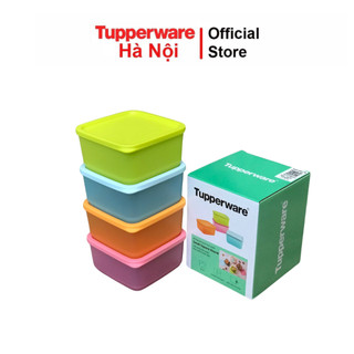 Bộ hộp bảo quản thực phẩm ngăn mát Small Square Round 4 hộp Tupperware nhựa nguyên sinh