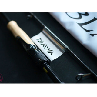 cần câu cá Daiwa Blazon new 2021