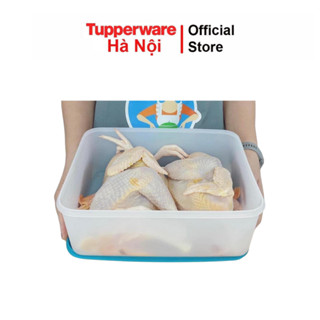 Bộ hộp trữ đông Tupperware Freezermate Gen II 5.7 lít (2) chính hãng đựng 2 con gà silicon dẻo