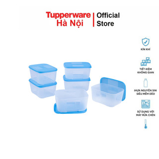 Bộ hộp trữ đông Tupperware Freezermate 650ml chính hãng