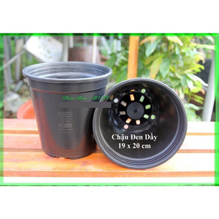 Chậu nhựa tròn trồng cây – kích thước 19 * 20 cm