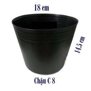 Chậu nhựa bầu ươm c6 c7 c8 chuyên dùng cho trồng cây và ươm cây con