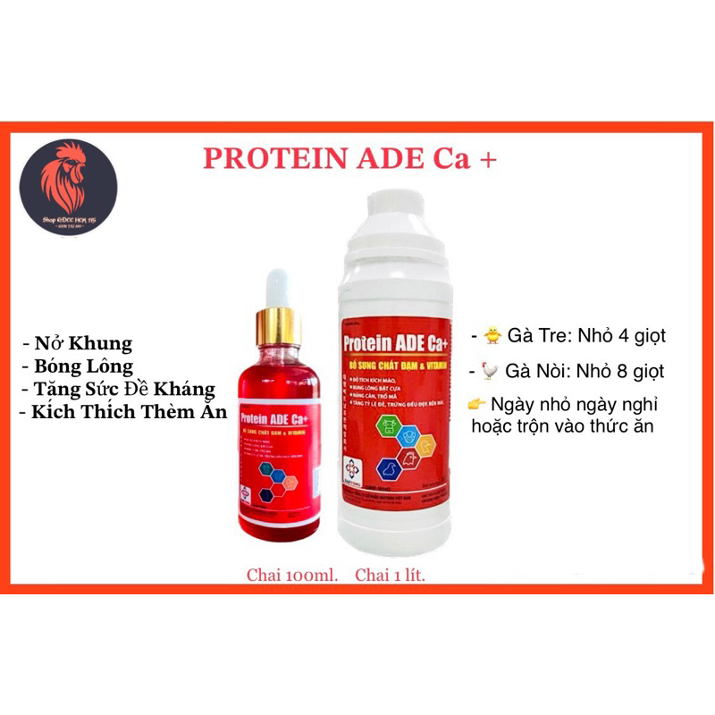 _•𝐏𝐑𝐎𝐓𝐄𝐈𝐍 𝐀𝐃𝐄 𝐂𝐚+ . 𝟏𝟎𝟎𝐦𝐥 + 𝟏𝐥𝐢́𝐭.  Nuôi gà tơ, nở khung, lên cân, bóng lông