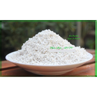 Perlite - Đá Trân Châu Giàu Khoáng,Trồng Sen Đá,Hoa Sứ, Xương Rồng,Cây Cảnh...