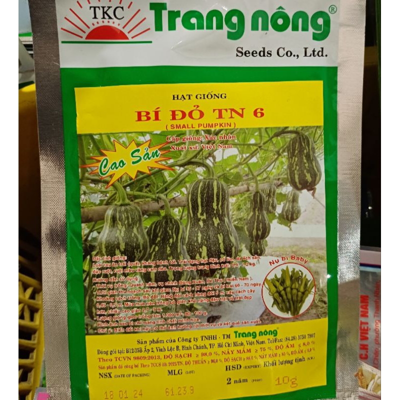 Hạt giống bí đỏ hạt đậu cao sản Trang Nông 6 - 10gr