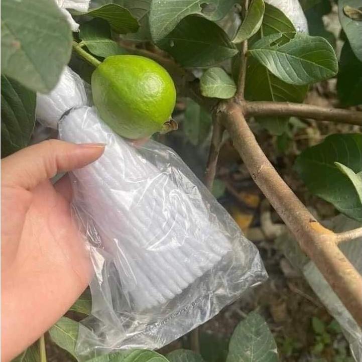 1KG [300 CÁI]TÚI XỐP BỌC ỔI, VÚ SỮA ĐÃ LỒNG SẴN GIÁ RẺ - CỬA HÀNG TÚI BỌC