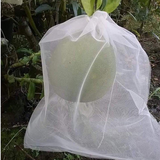 100 cái 35*40cm lưới dày bọc bưởi, mãng cầu, dưa lưới - cửa hàng túi bọc