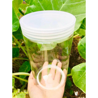Hủ đựng Kem 1000gram trong suốt nhựa dẻo