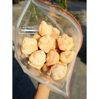 Bánh thuẩn cốt dừa Bình Định