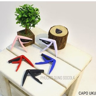 Đàn Ukulele Concert Gỗ chính hãng Music - size Concert - Basic