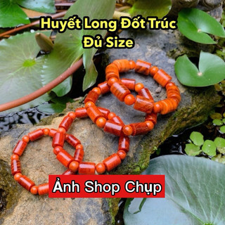 Vòng tay huyết long đốt trúc giá sỉ sẵn sll