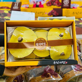 Nấm Linh Chi Vàng Chanh Hộp Quà Cao Cấp Hàn Quốc, Làm giảm quá trình lão hóa, Tăng cường hệ miễn dịch và bảo vệ gan