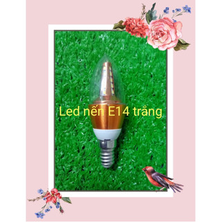 Đèn led trang trí led nến E14,E27