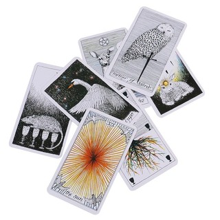 Bộ Bài Bói The Wild Unknown Tarot Cao Cấp