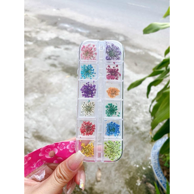 Khay Pk hoa khô trang trí móng