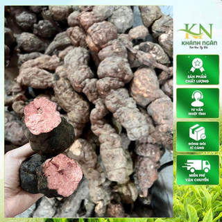 Hà Thủ Ô Đỏ tươi nguyên củ 1kg hàng chuẩn rừngKhông đỏ hoàn tiền
