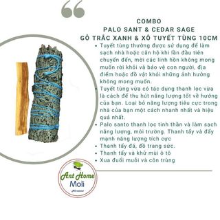 Combo 1 bó tuyết tùng 10cm và 1 thanh palo santo trắc xanh 10cm 5gr (Combo05)