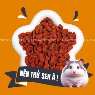Kỉ Tử Sấy Khô Dinh Dưỡng Món Yêu Thích Hamster/Sóc/Thỏ/Bọ