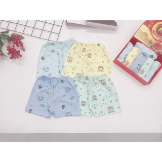 set 5 Quần đùi chục cotton cho bé